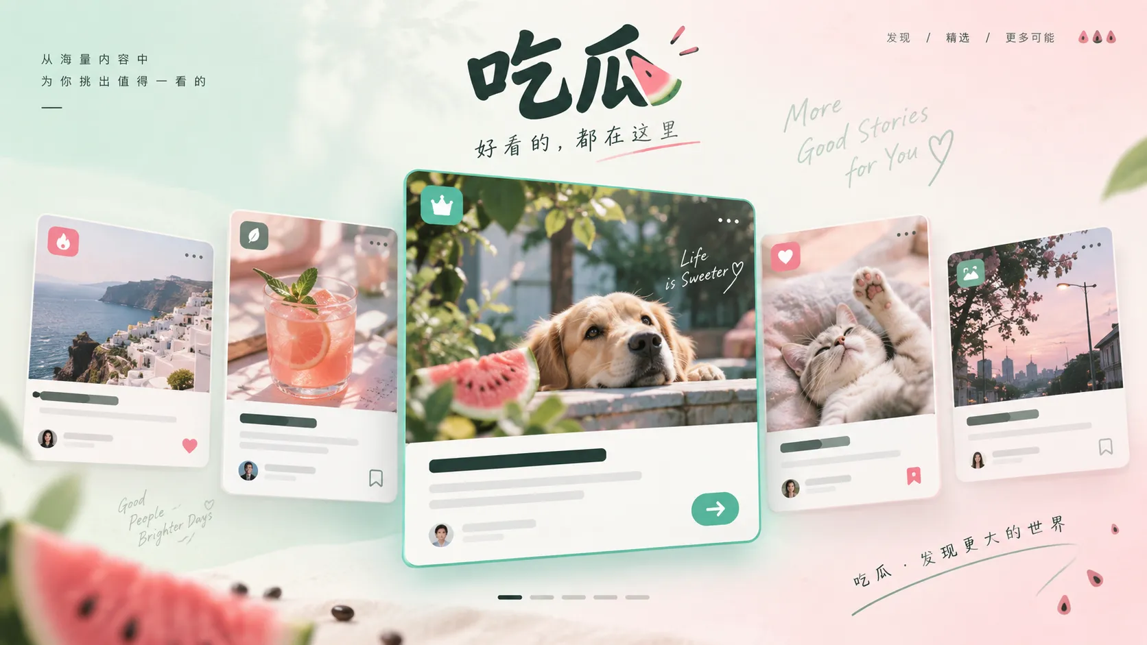 本周编辑精选